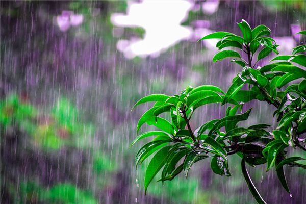 梦见雨水是什么意思 梦见雨水《梦见雨水流进家里是什么意思》 周公解梦