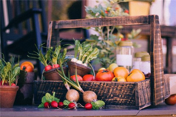 梦见菜圃是什么意思 梦见菜圃《梦见菜圃种野菜》 测事业运