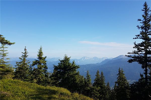 梦见山林是什么意思 梦见山林《梦见山林起大火是什么征兆》 周公解梦