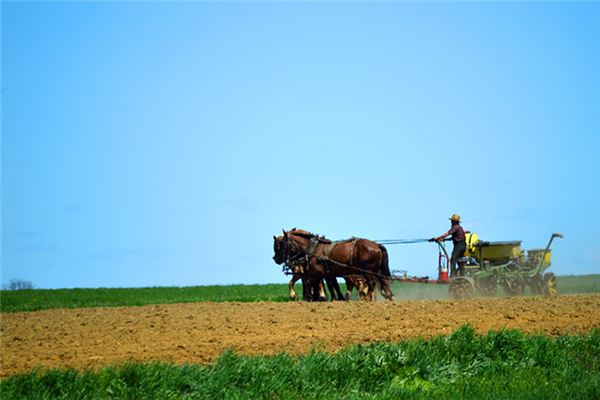 梦见犁地是什么意思 梦见犁地《梦见犁地是什么预兆》 周公解梦