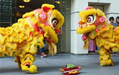 you管