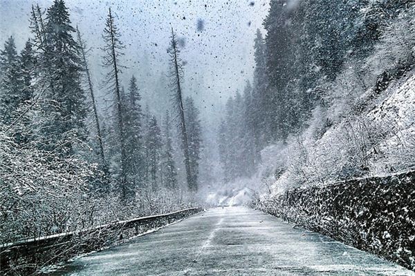 梦见大雪纷飞是什么预兆 梦见大雪纷飞是什么预兆