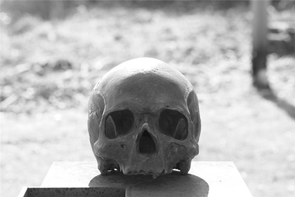 梦见骷髅头是什么意思 梦见骷髅头是什么意思