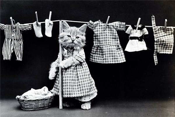 梦见扔衣服是什么意思 梦见扔衣服是什么意思