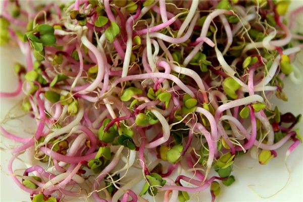 梦见吃豆芽是什么意思 梦见吃豆芽是什么意思