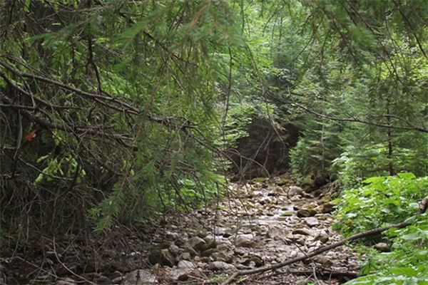 梦见路不通是什么意思 梦见路不通是什么意思