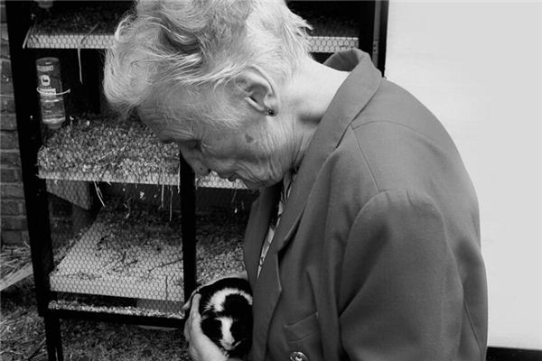 周公解梦梦见母亲过世 周公解梦梦见母亲过世