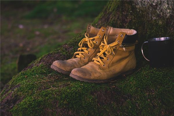 梦见鞋丟了是什么意思 梦见鞋丟了是什么意思