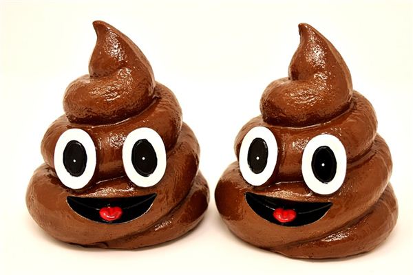 梦见扫大便是什么意思 梦见扫大便是什么意思