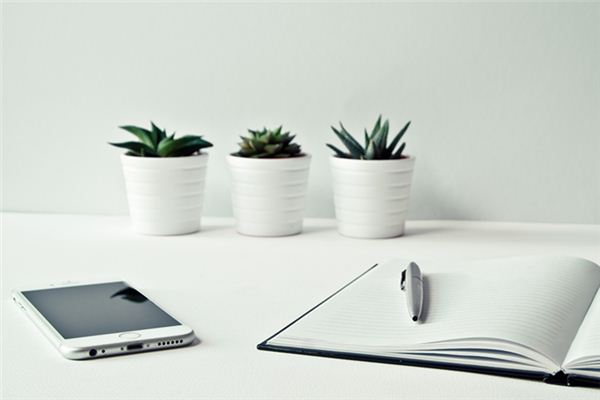 梦见丟手机是什么意思