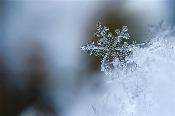 梦见露成霜雪是什么意思 梦见露成霜雪《梦见霜雪是什么征兆》 周公解梦