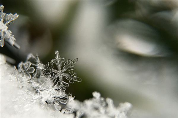 梦见霜降屋顶是什么意思 梦见霜降屋顶《梦见屋顶上有霜》 周公解梦