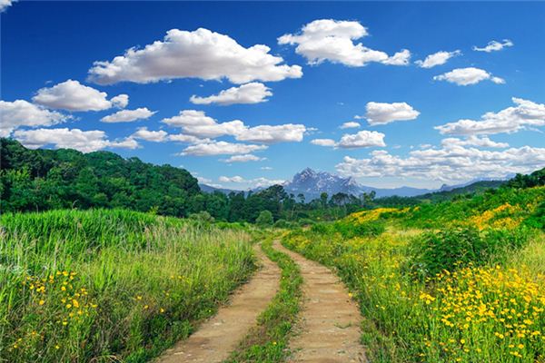 梦见乡间小路是什么意思 梦见乡间小路《梦见乡间小路什么意思》 周公解梦