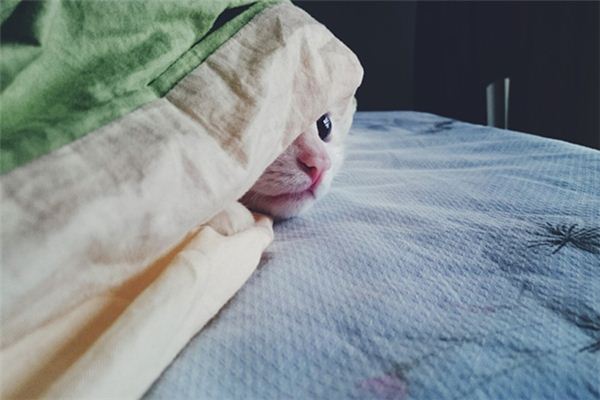 梦见逃亡躲藏是什么意思 梦见逃亡躲藏是什么意思