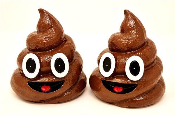 梦见路上有屎是什么意思 梦见路上有屎是什么意思