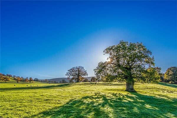 梦见阳光明媚是什么意思 梦见阳光明媚是什么意思