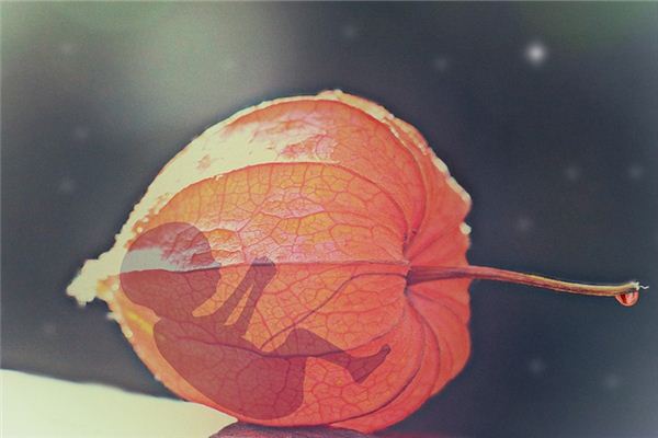 梦见打掉孩子是什么意思 梦见打掉孩子是什么意思