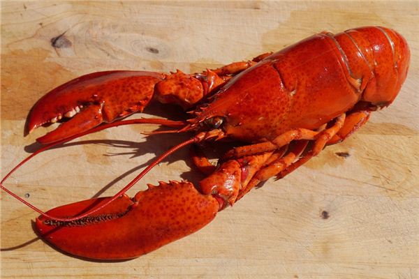 梦见龙虾夹我是什么意思 梦见龙虾夹我是什么意思