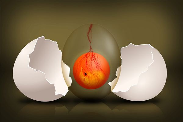 梦见鸡蛋碎了是什么意思 梦见鸡蛋碎了是什么意思