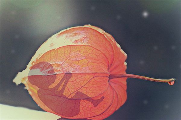 梦见怀孕流产是什么意思 梦见怀孕流产是什么意思