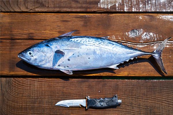 梦见死鱼没拿是什么意思 梦见死鱼没拿是什么意思