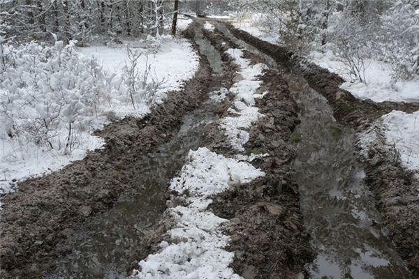 梦见满路泥泞是什么意思