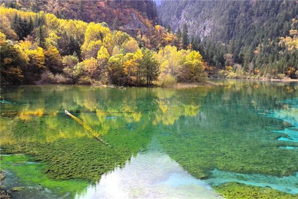 梦见河水清澈是什么意思 梦见河水清澈是什么意思
