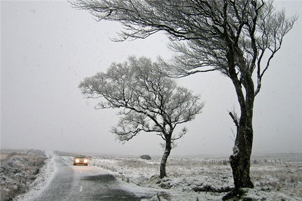 梦见雪地开车是什么意思 梦见雪地开车是什么意思