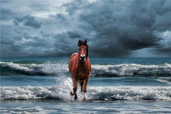 梦见马蹄声音是什么意思 梦见马蹄声音是什么意思