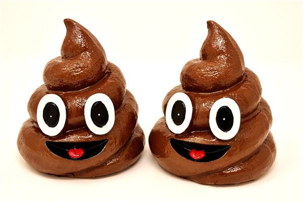 梦见大便满地是什么意思 梦见大便满地是什么意思