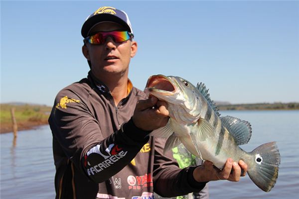 梦到抓了一条大鱼 梦到抓了一条大鱼