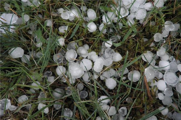 梦见下冰雹特别的大 梦见下冰雹特别的大