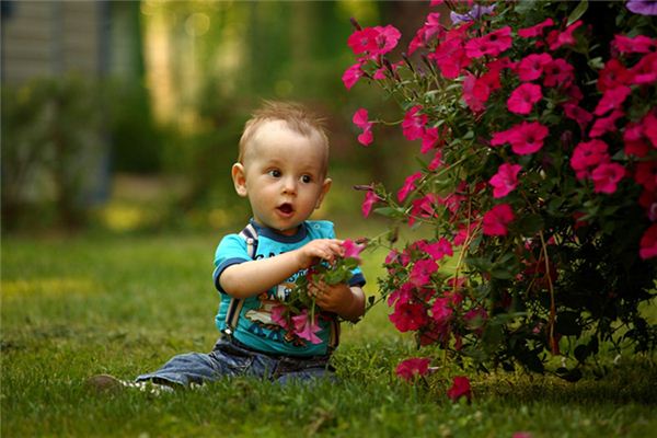 梦见别人小孩拉屎