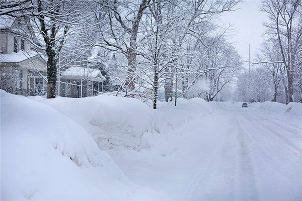 梦见下鹅毛大雪