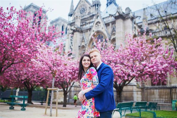  属羊女比属狗男大三岁《属羊女比属狗男大三岁的婚姻》 生肖运势