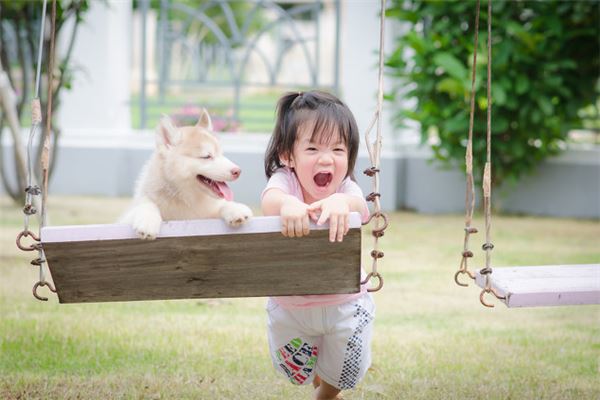  2019生人的运势如何《2019生人的运势如何看》 生肖运势