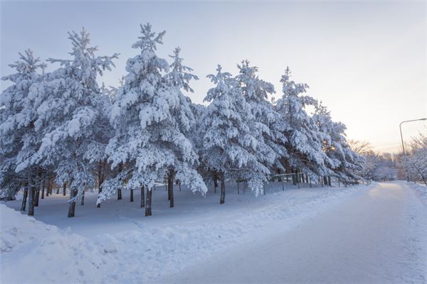 梦见雪什么意思