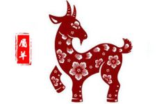 you管