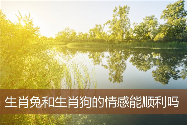 you管
