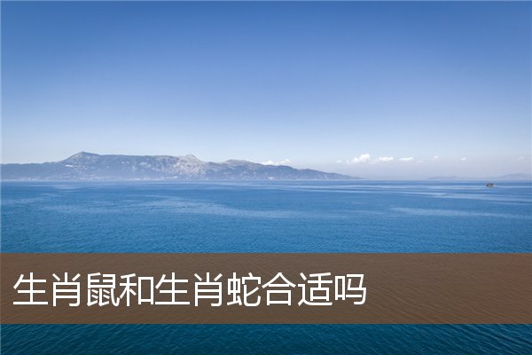 you管