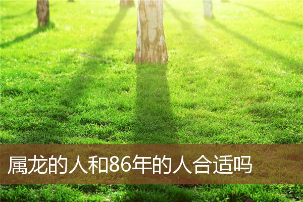 you管