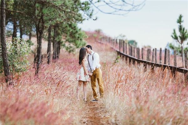  属蛇的人和属龙的配不配《属蛇的人和属龙的配不配婚姻》 生肖运势