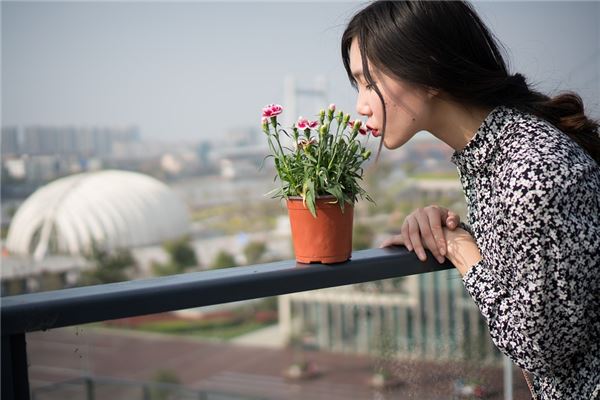  91年几点出生的人嫁的好《91年几点出生的人嫁的好呢》 生肖运势