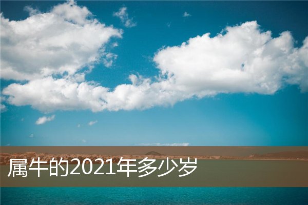  属牛的2021年多少岁《属牛的2021年多少岁了》 生肖运势