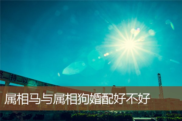  属相马与属相狗婚配好不好《属相马与属相狗婚配好不好呢》 生肖运势