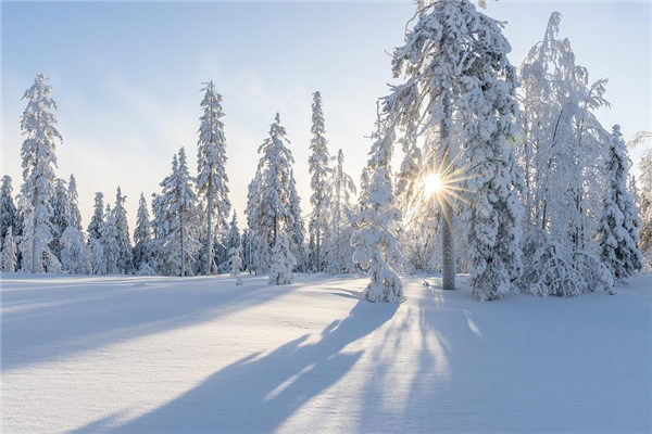 梦见下雪周公解梦（梦见下雪了有什么寓意） 梦见下雪周公解梦（梦见下雪了有什么寓意） 卜算大全