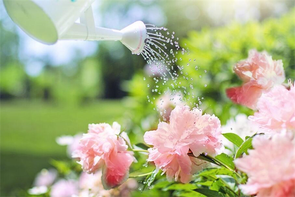 梦见撒水有何寓意