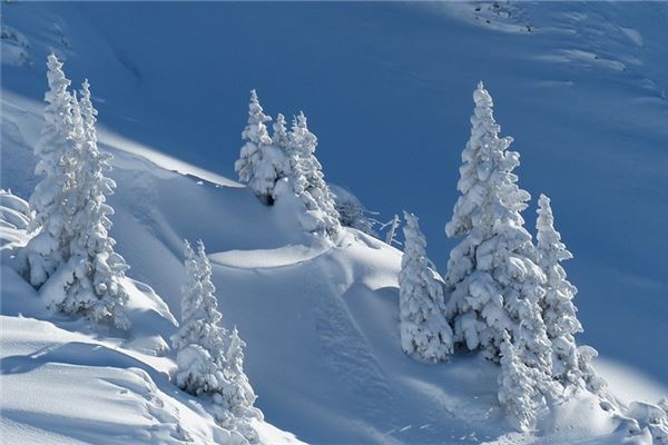 梦见下雪周公解梦（梦见下雪了有什么寓意） 梦见下雪周公解梦（梦见下雪了有什么寓意） 卜算大全