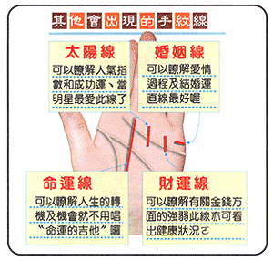 其它会出现的手纹线