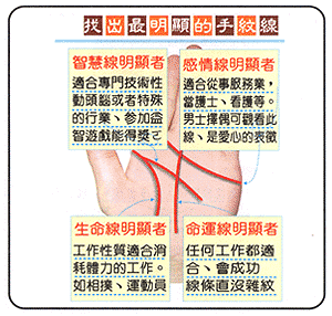 找出最明显的手纹线
